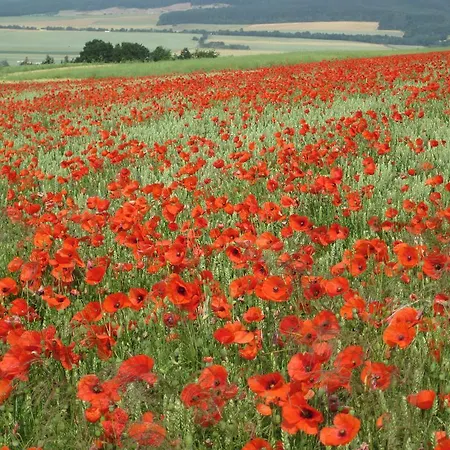 Am Korretsberg Kruft