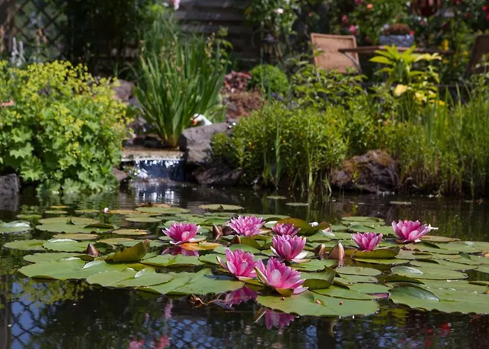 Am Korretsberg * Kruft