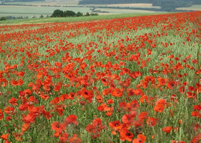 Am Korretsberg Kruft